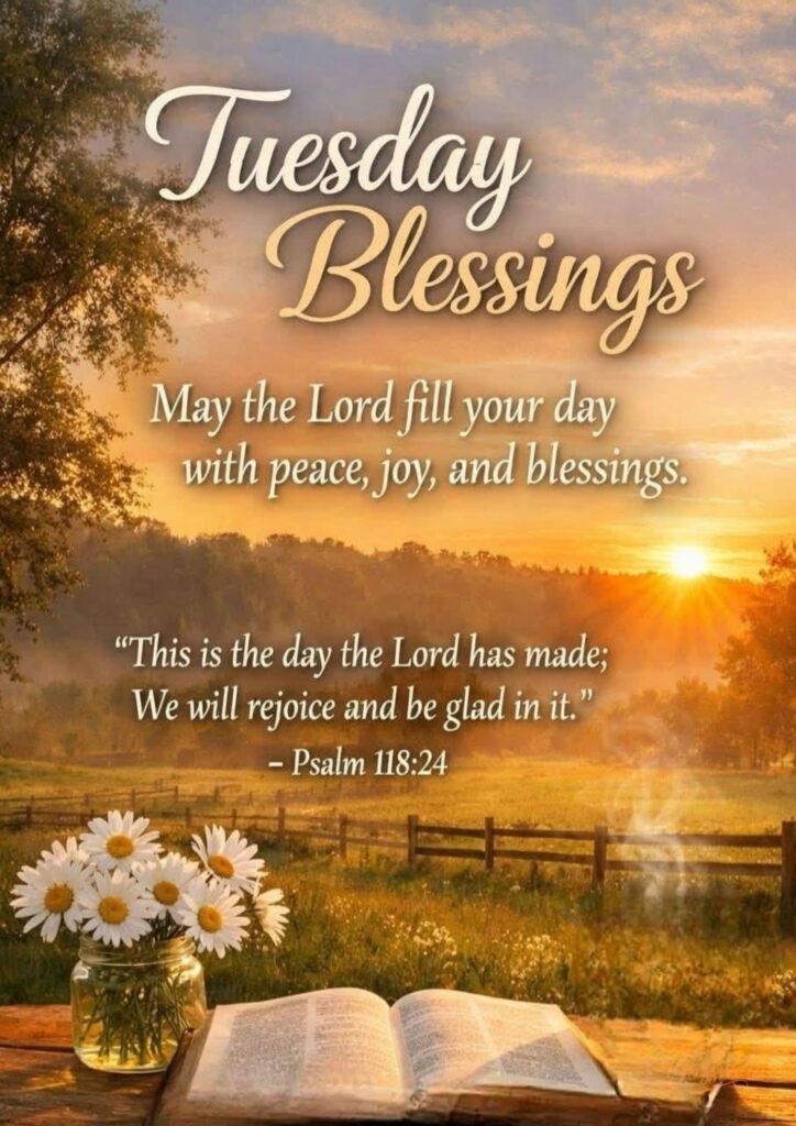 midday-reminders
